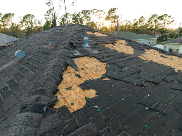 Best Asphalt Shingle Roofing  in Capac, MI
