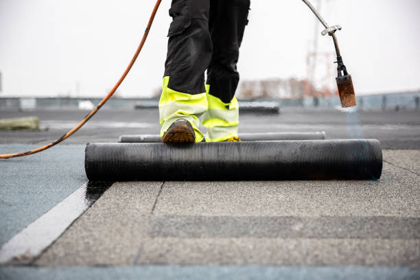 Best 4 Ply Roofing  in Capac, MI