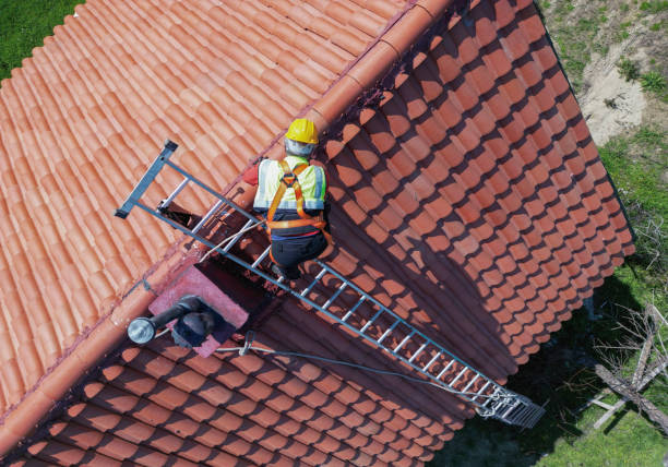 Best Sheet Metal Roofing  in Capac, MI