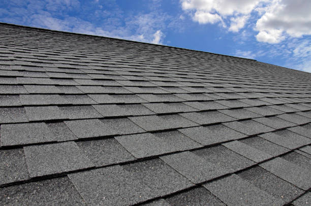 Best Chimney Flashing Repair  in Capac, MI