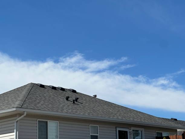 Best Skylights  in Capac, MI